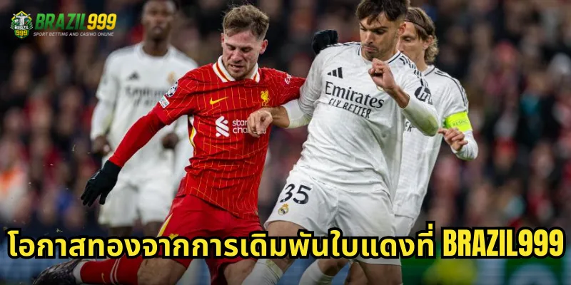 โอกาสทองจากการเดิมพันใบแดงที่ BRAZIL999